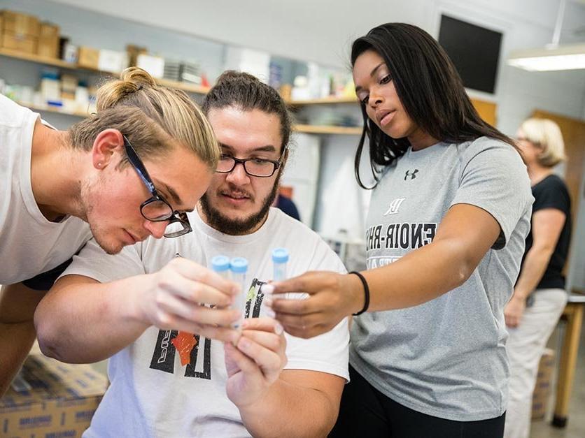 Students working on a project in a science lab